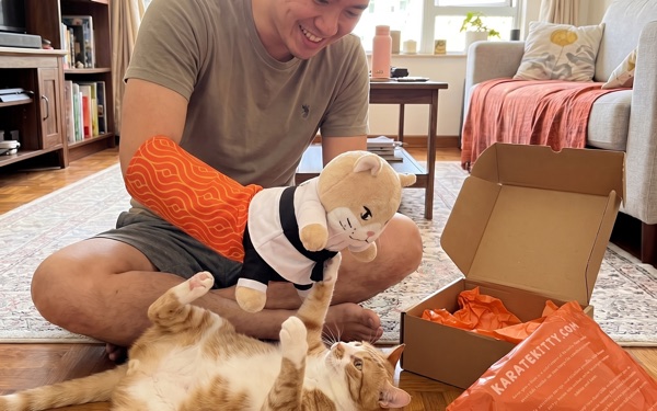 Cat unboxing a Karate Kitty plush